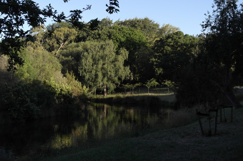 ChCh Avon River