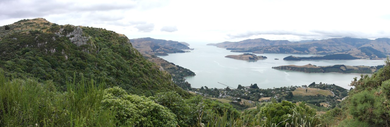 002 BanksPen Lyttelton Harbour 2