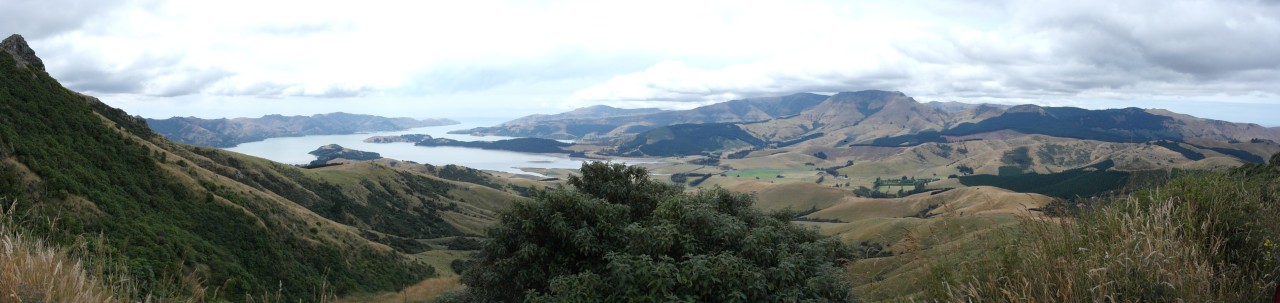 002 BanksPen Lyttelton Harbour