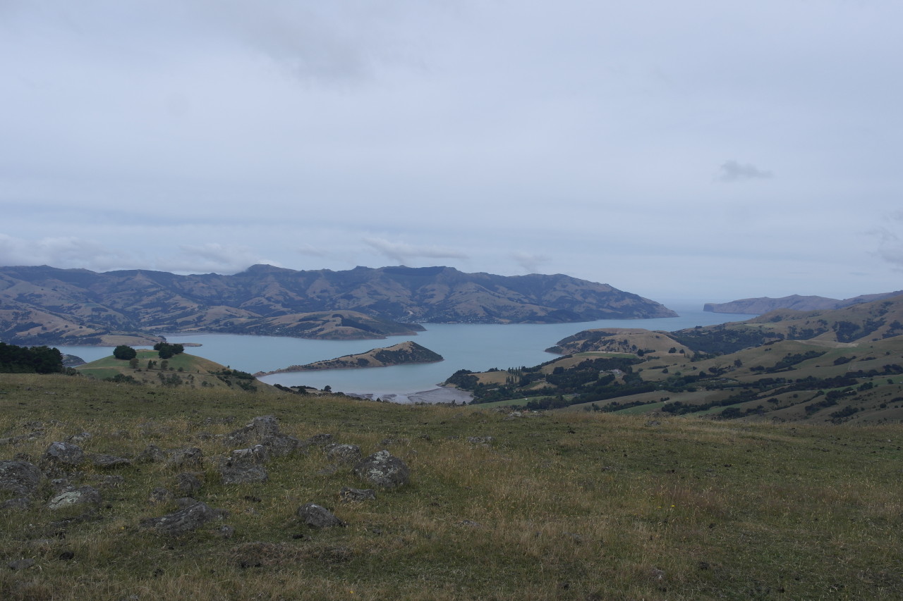 002 BanksPen Akaroa Harbour