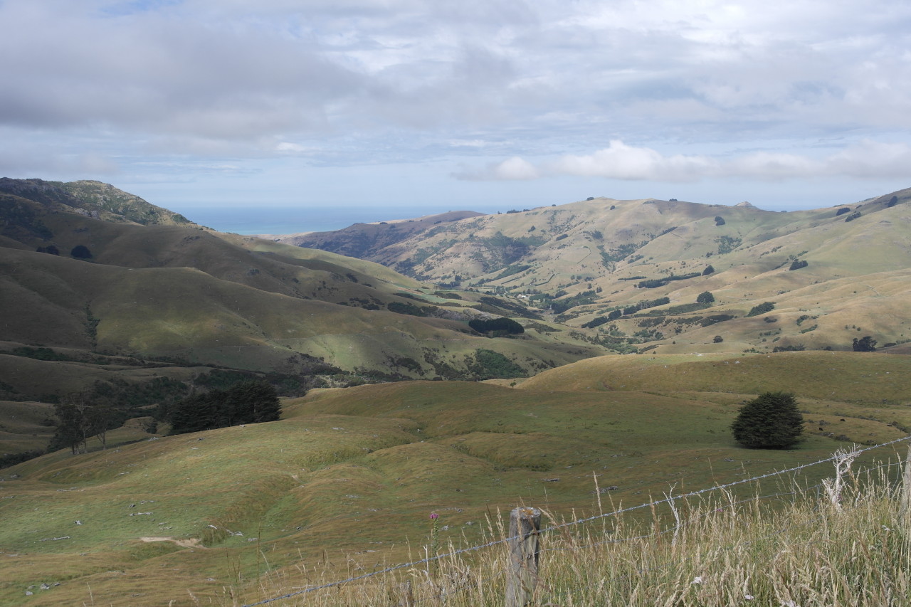 002 BanksPen Okains Bay Hills