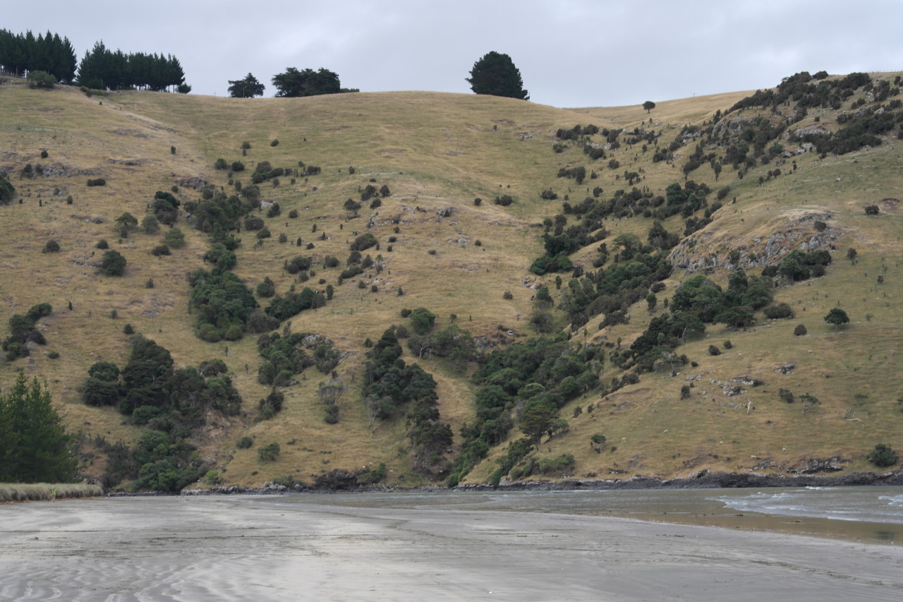 002 BanksPen Okains Bay Beach