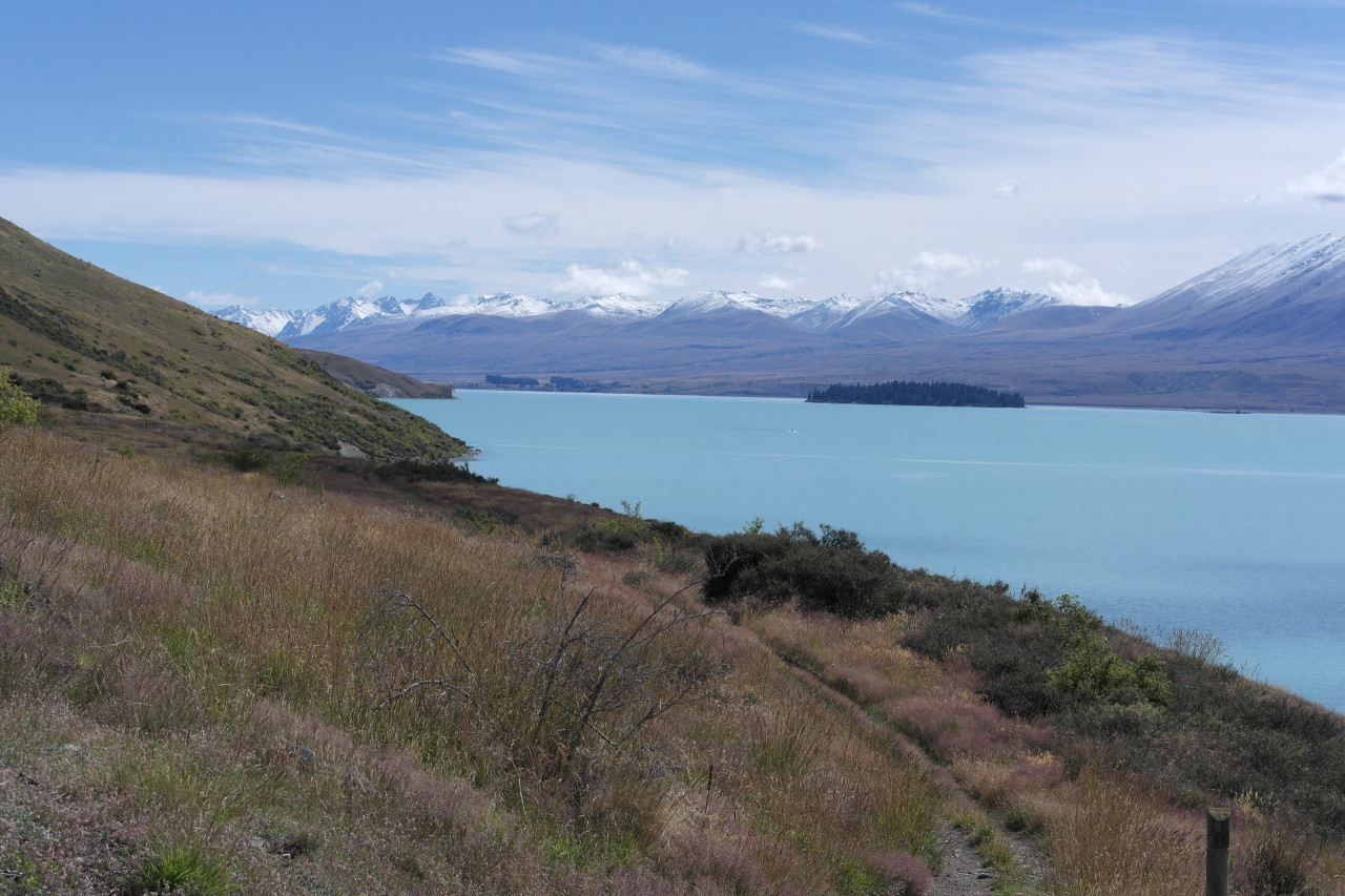 004 Tekapo Lake From Track