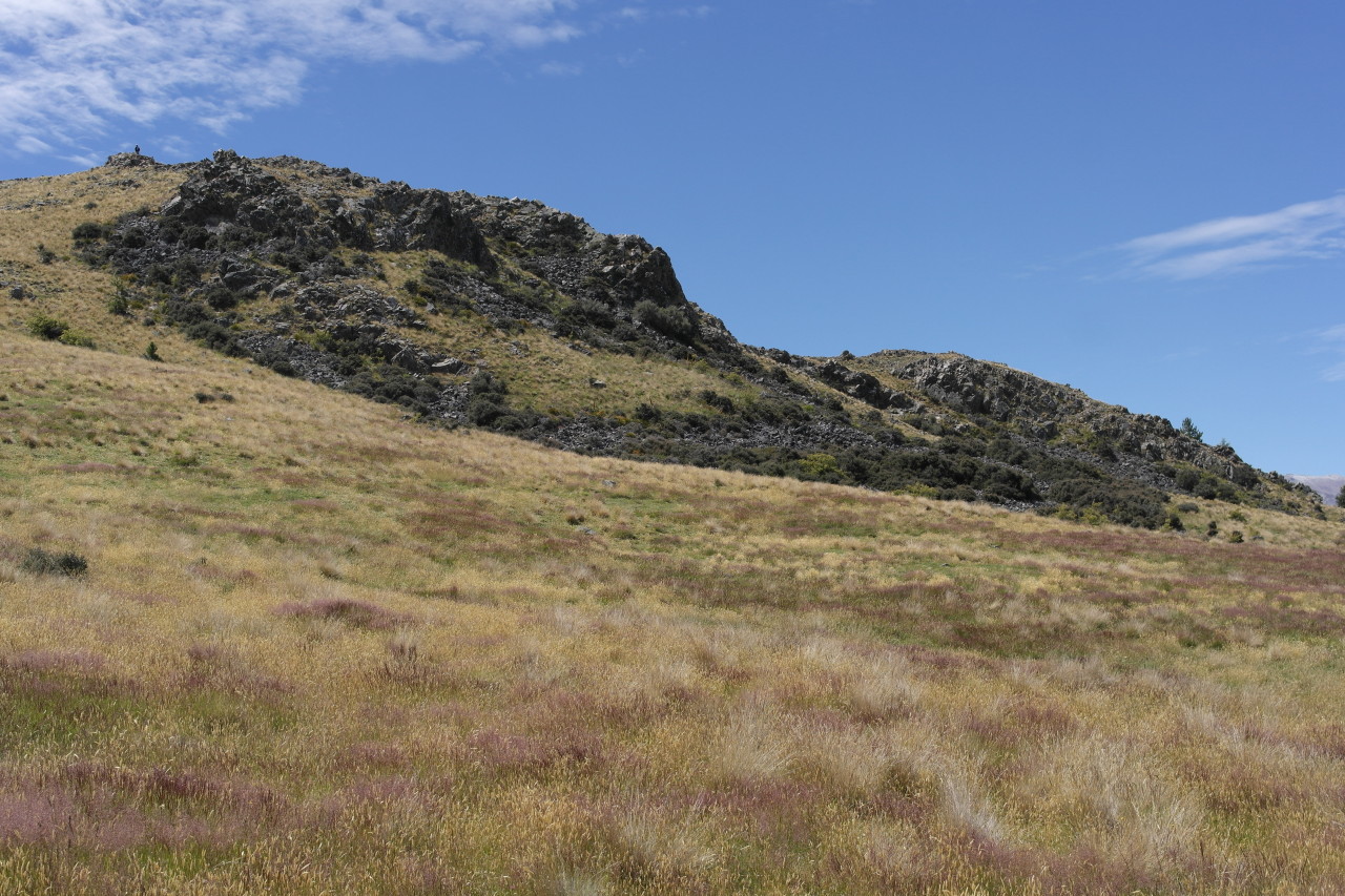 004 Tekapo Meadow Rocks