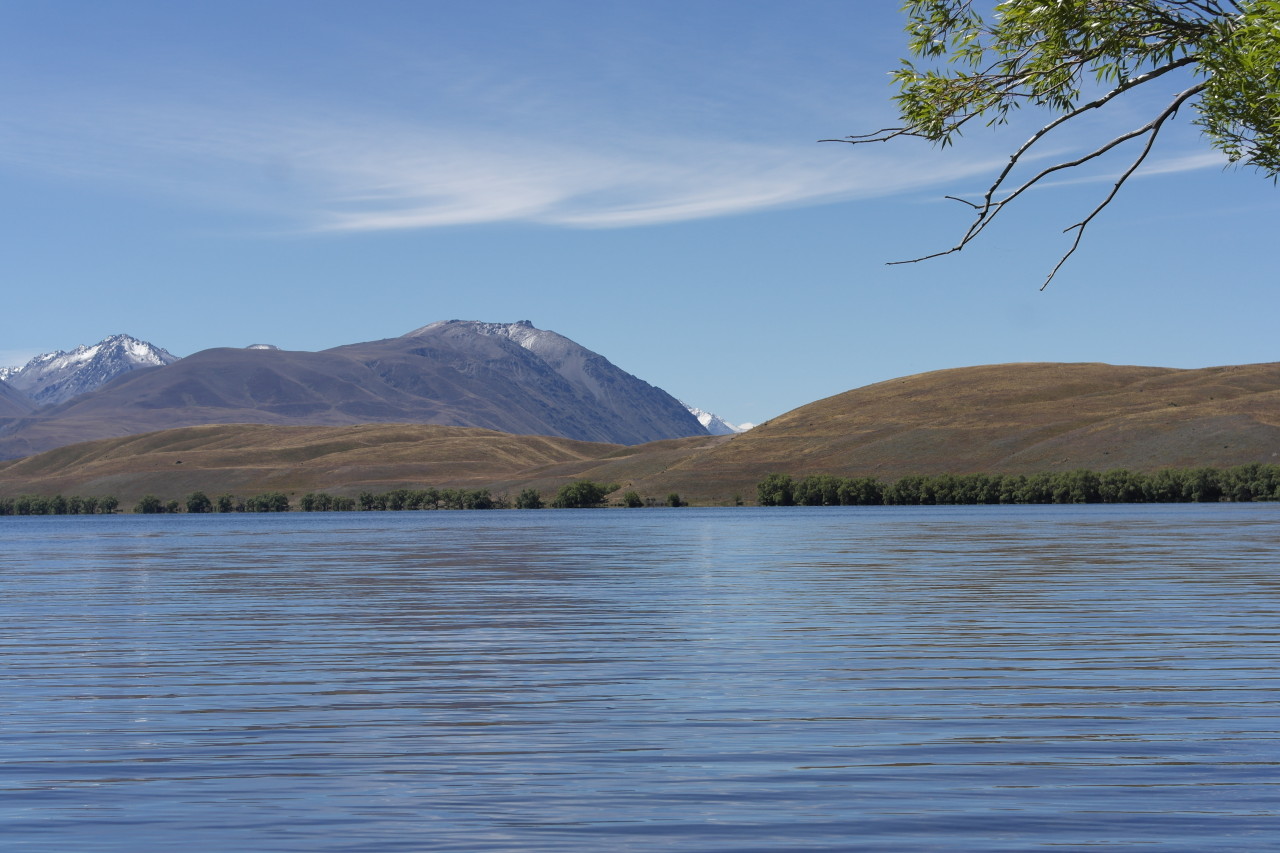 004 Tekapo Lake Alexandrina Shore