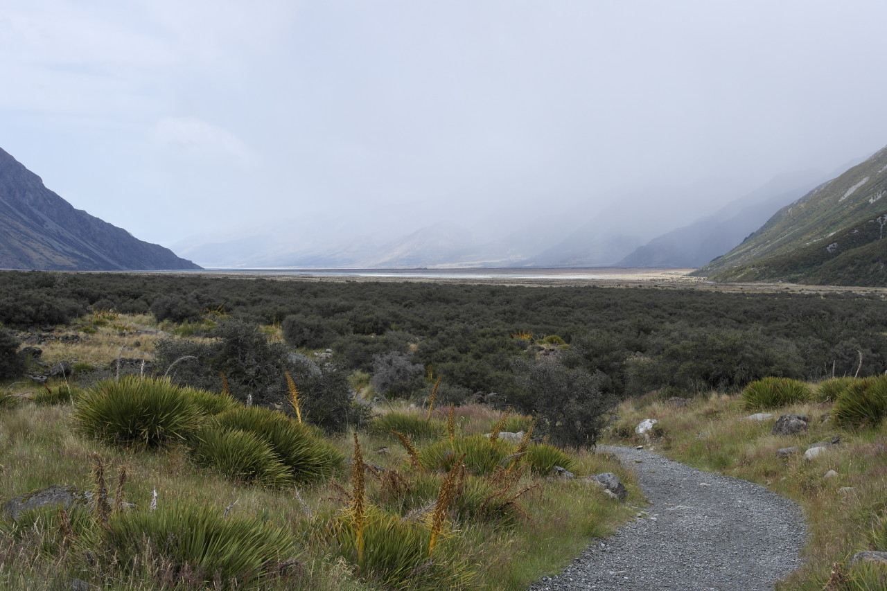 005 Mount Cook Tasman Valley