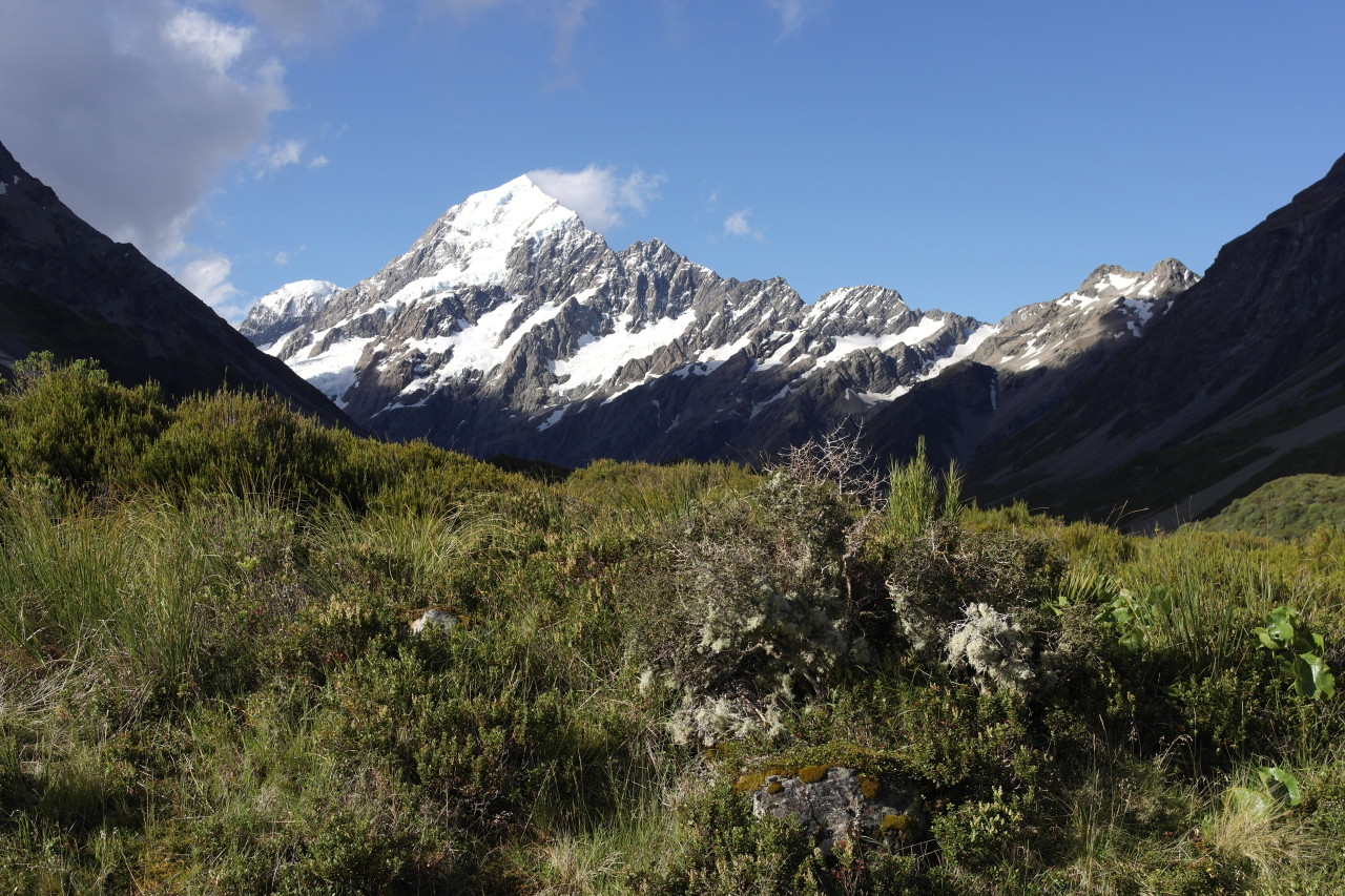 005 Mount Cook Valley Sun