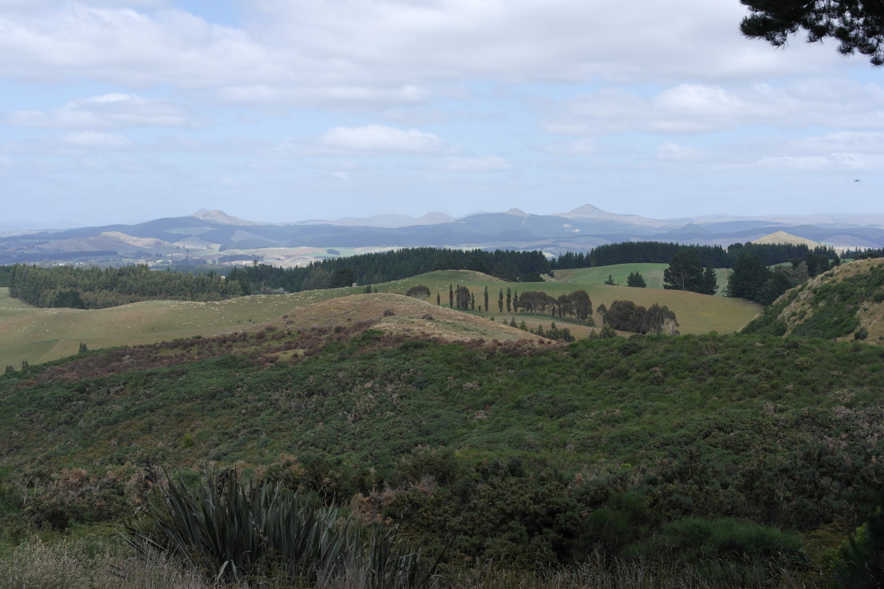 008 Otago Spiky Mountains