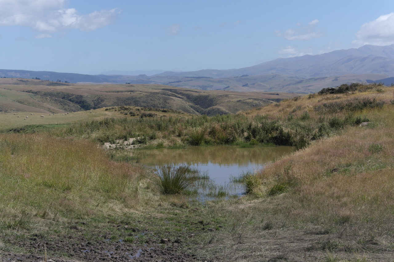 Ein kleiner Tümpel in der kargen Landschaft