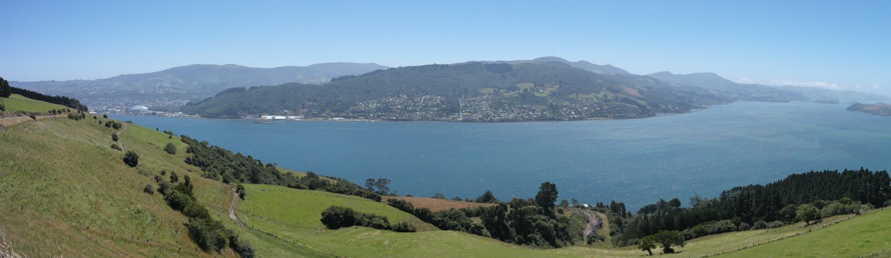 Otago Harbour