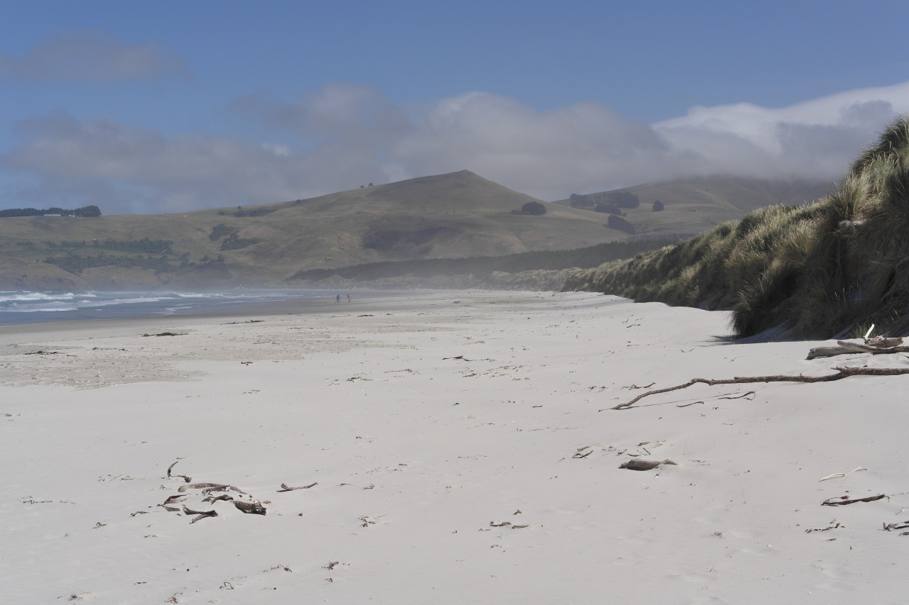 Der Strand ist unglaublich wild und schön