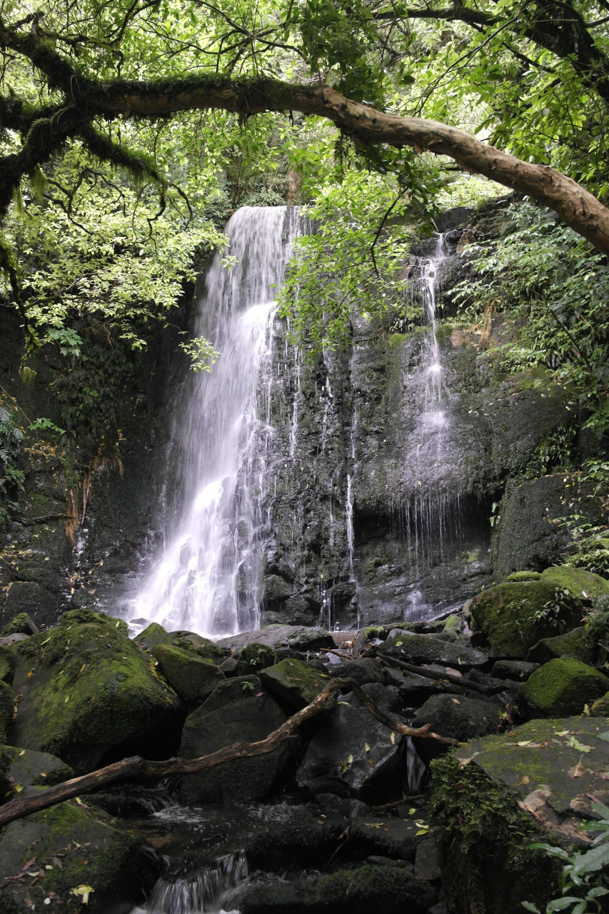 009 Catlins Some Falls