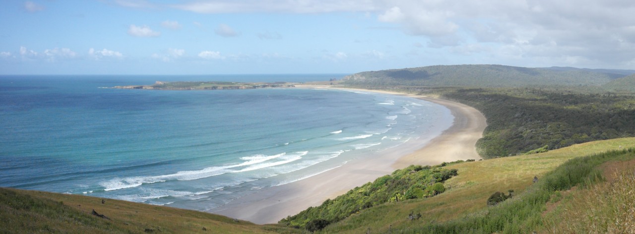 009 Catlins Rainforest View Sun