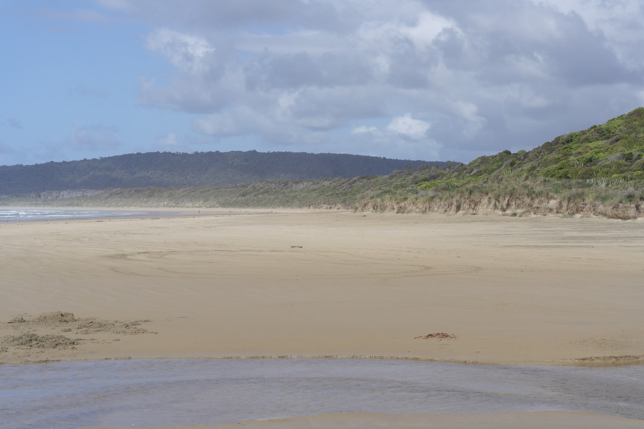 009 Catlins Rainforest Beach Wild