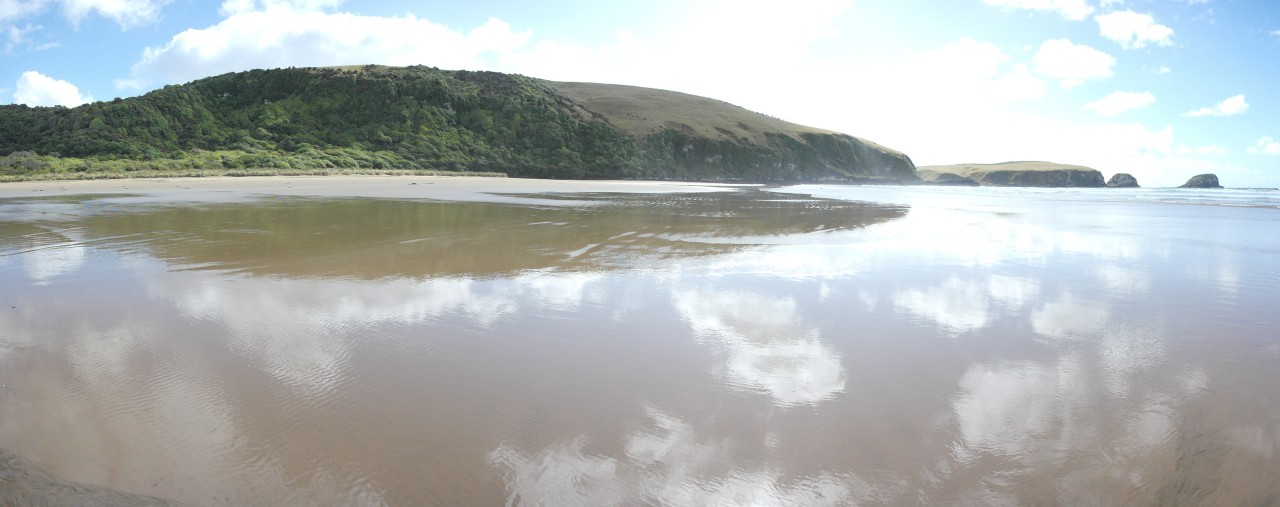 009 Catlins Rainforest Beach Mirror Pano