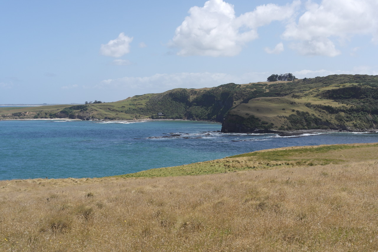 009 Catlins Slope Point 1