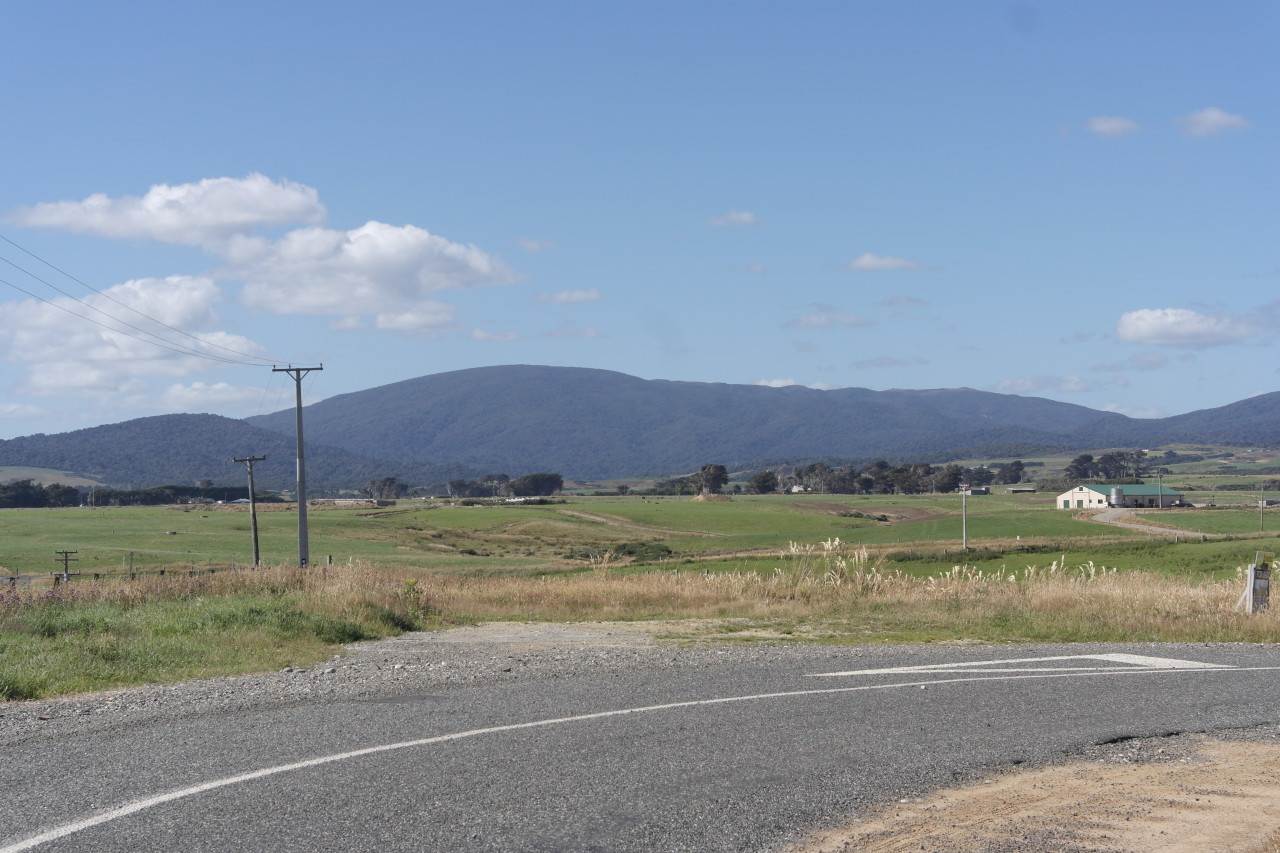 010 To Fiordland Forest Mountains