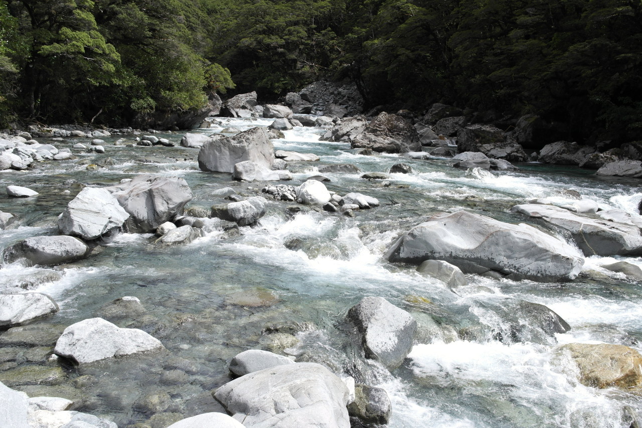 013 Milford Sound Hollyford River