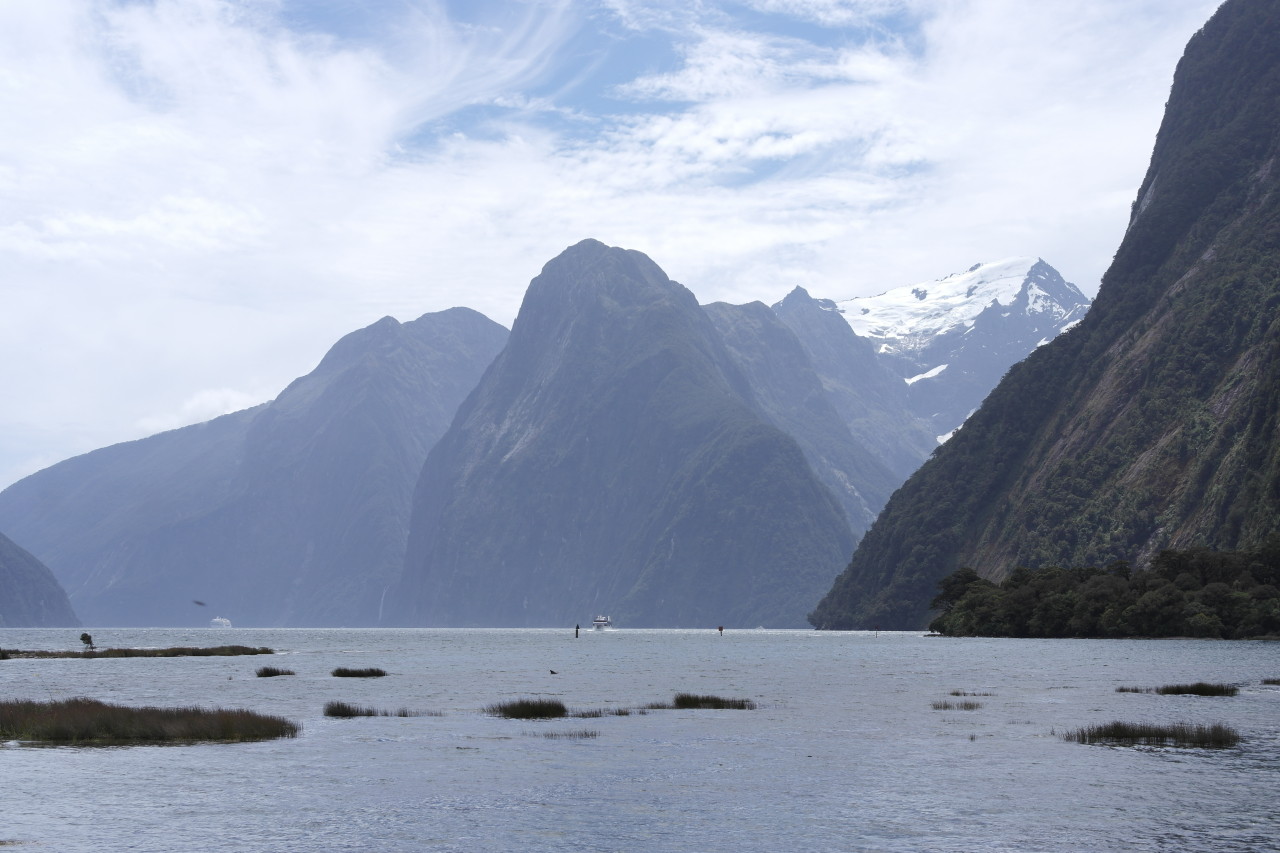 Der Gletscher ist Mount Tutoko. Am Berg in der Mitte laufen die Stirling Falls runter, die höchsten Fälle des Milford Sounds.