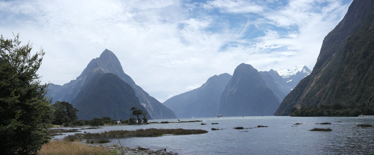 In dem Tal links vom Mitre Peak wurden übrigens die letzten freilebenden Kakapos (flugunfähige Papageien) gefunden, bevor sie alle auf eine Insel im Süden versetzt wurden, damit sie nicht aussterben.