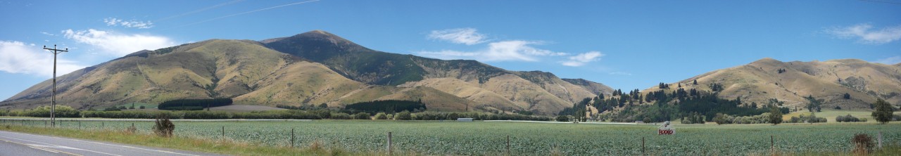 Die Hügel sind noch etwas grün, das ändert sich aber, je näher ich Queenstown komme.