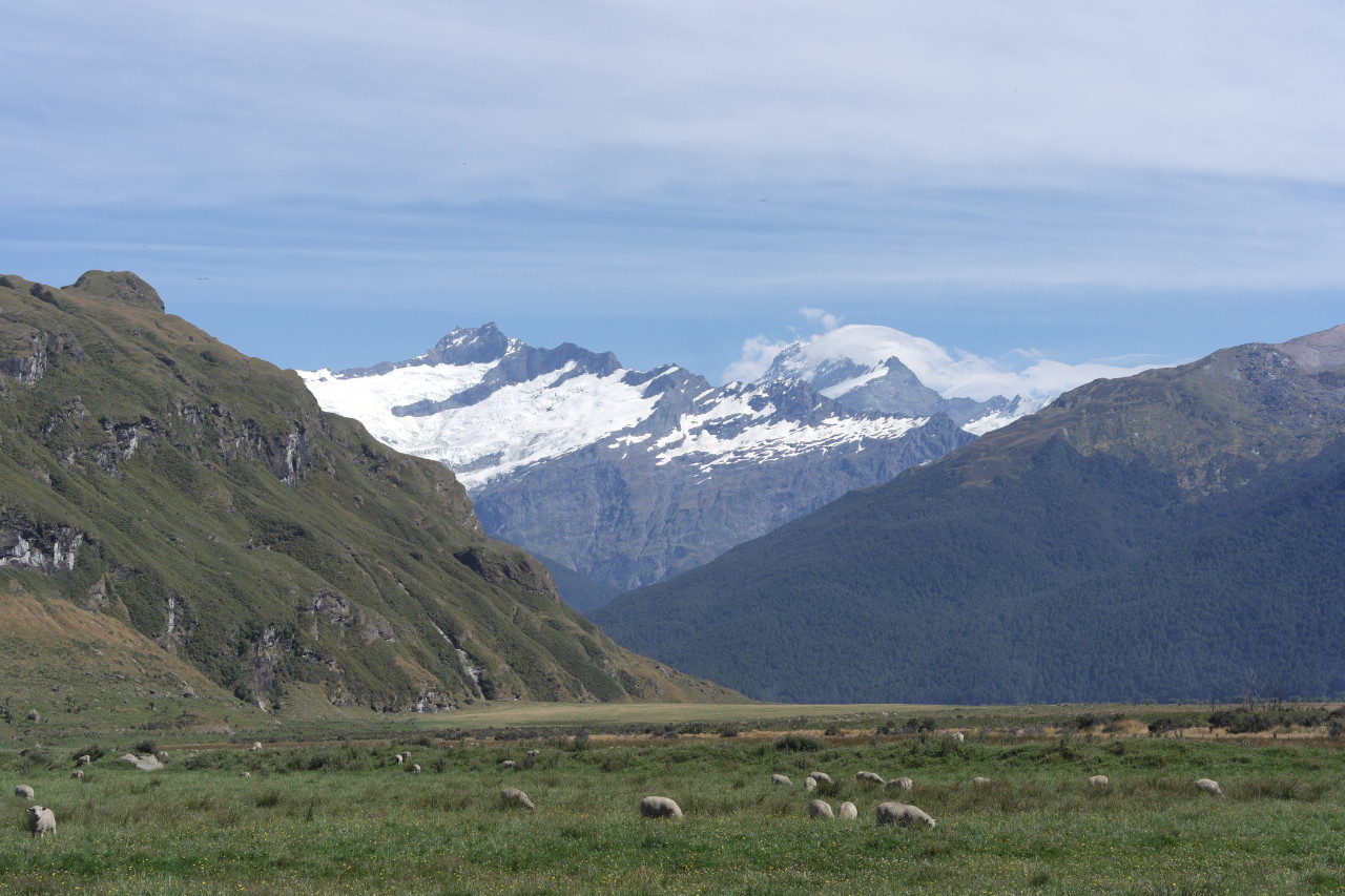 Mount Aspiring (rechts) am Ende des Tals.