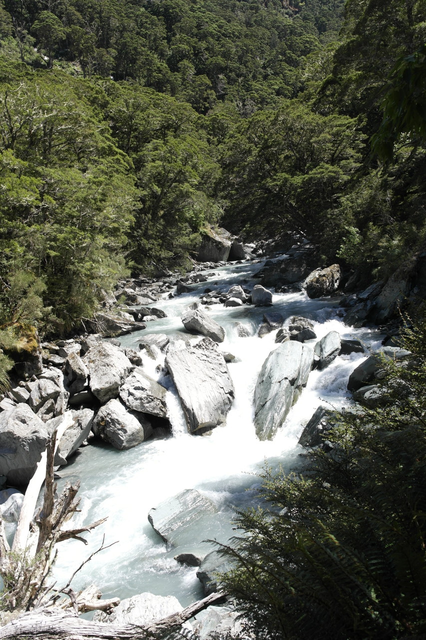 015 Aspiring Rob Roy Valley River Wild