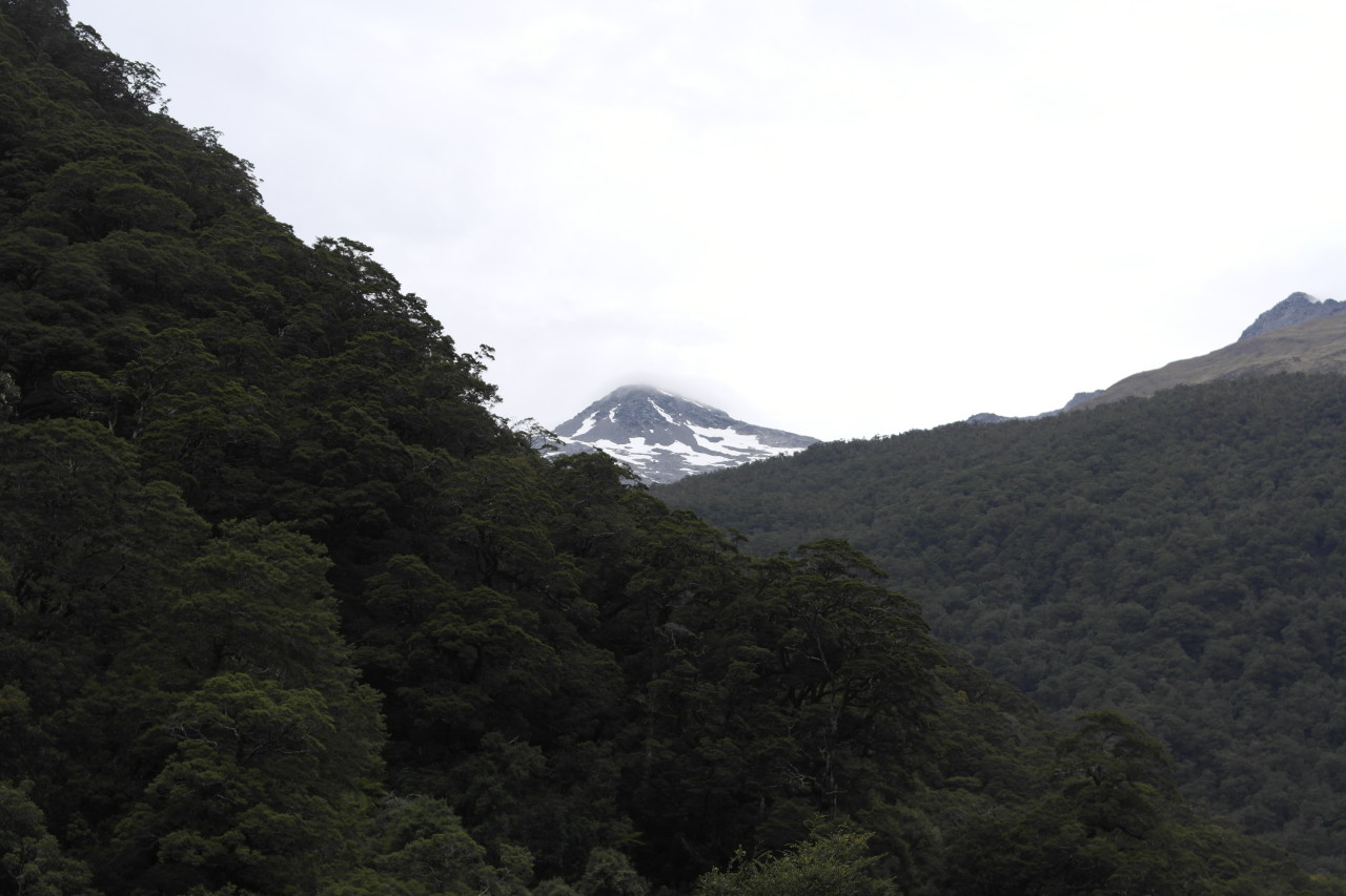 016 To West Coast Haast Pass Mountains