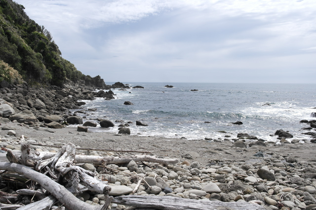 016 To West Coast Jackson Bay Walkway Sea