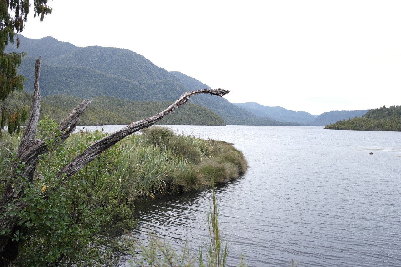 Lake Ellery. Der einstündige Wanderweg war die Aussicht wert. Ich hatte kurz überlegt, schwimmen zu gehen, aber es war mir doch etwas zu heikel.