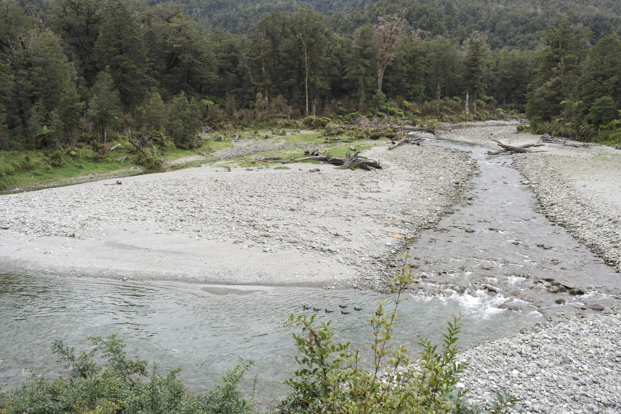 016 To West Coast Jackson River