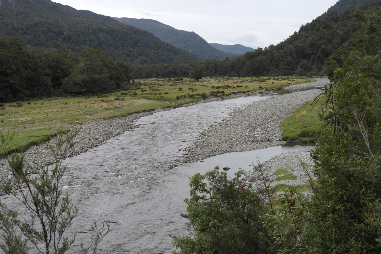 Der Jackson River.