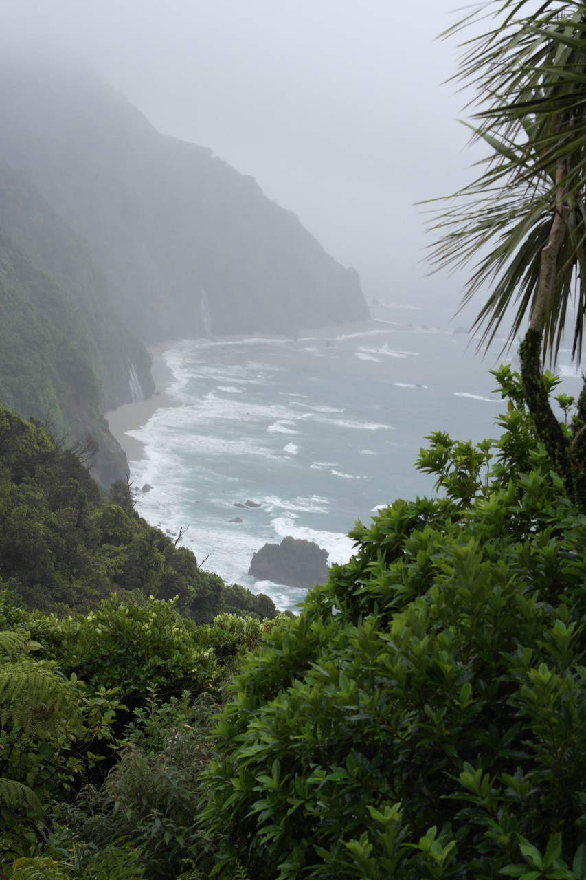 017 Fox Glacier Rain Coast 1