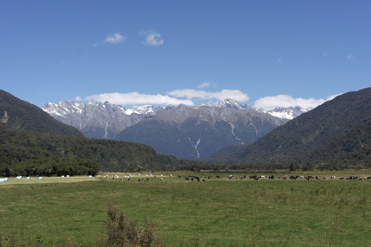 Berge aus dem Mount-Cook-Massiv im Tal des Whataroa Rivers.