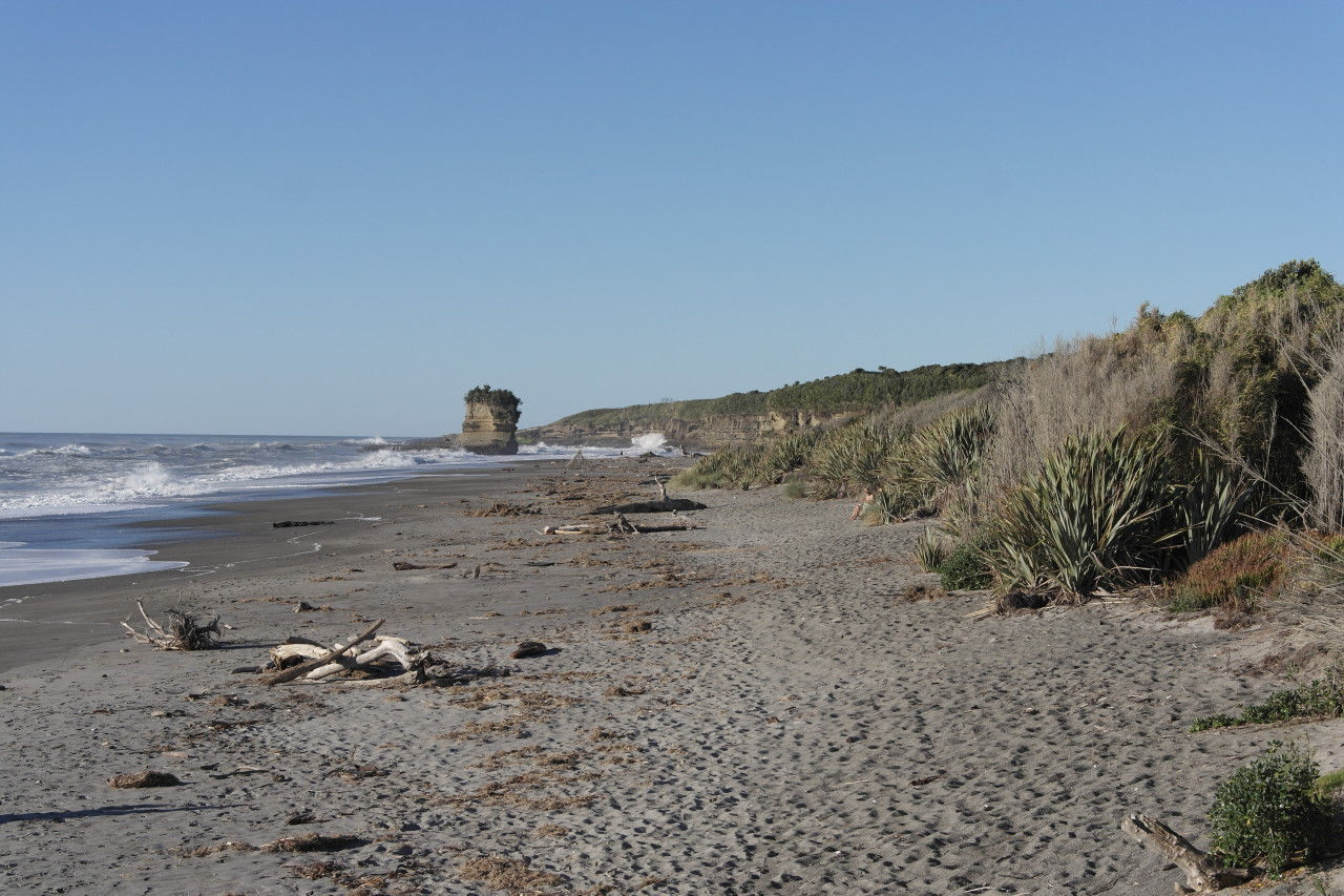 Ein letztes Stücken Felsen steht am Strand in Punakaiki.
