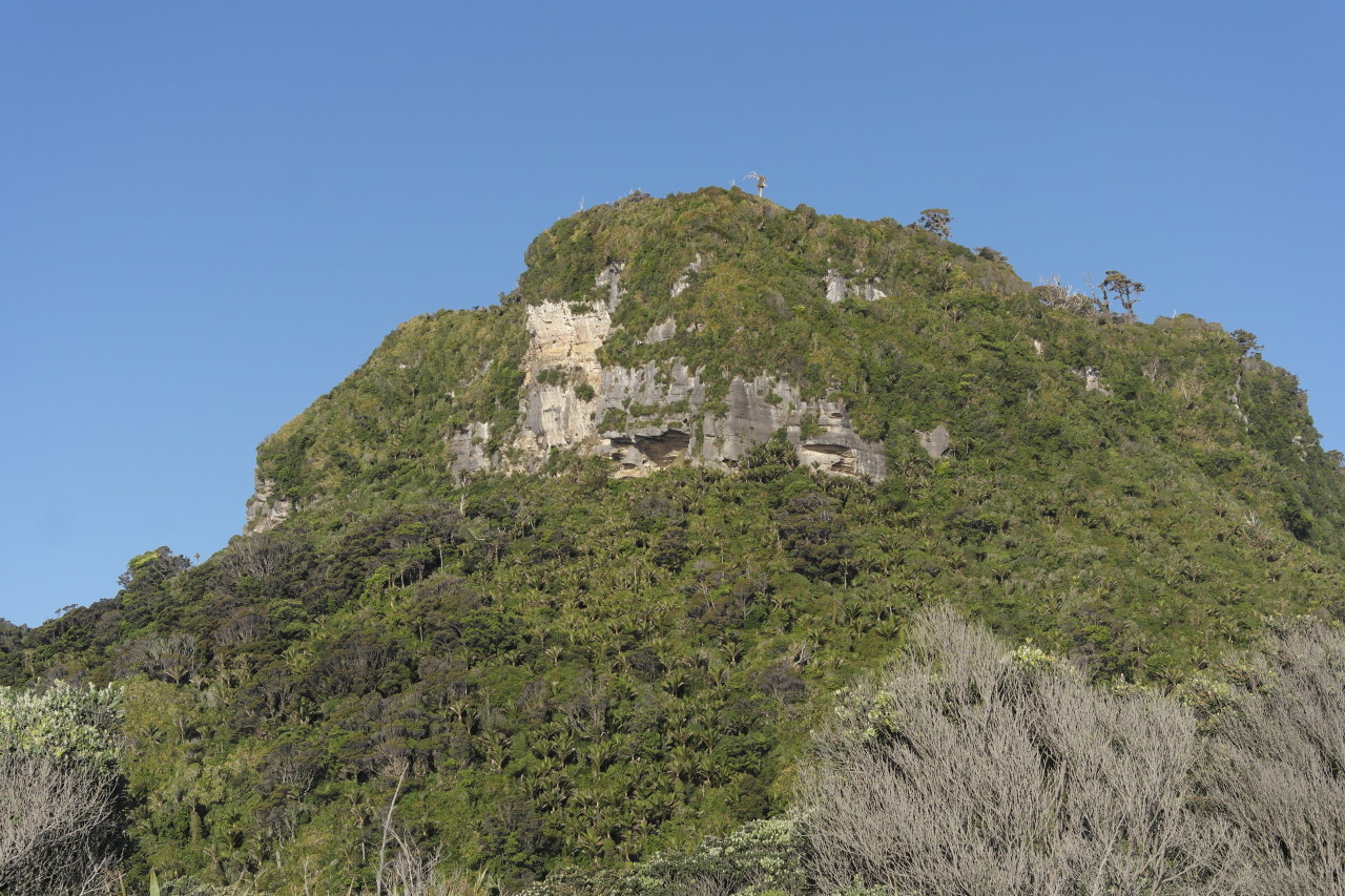 019 Punakaiki Rock