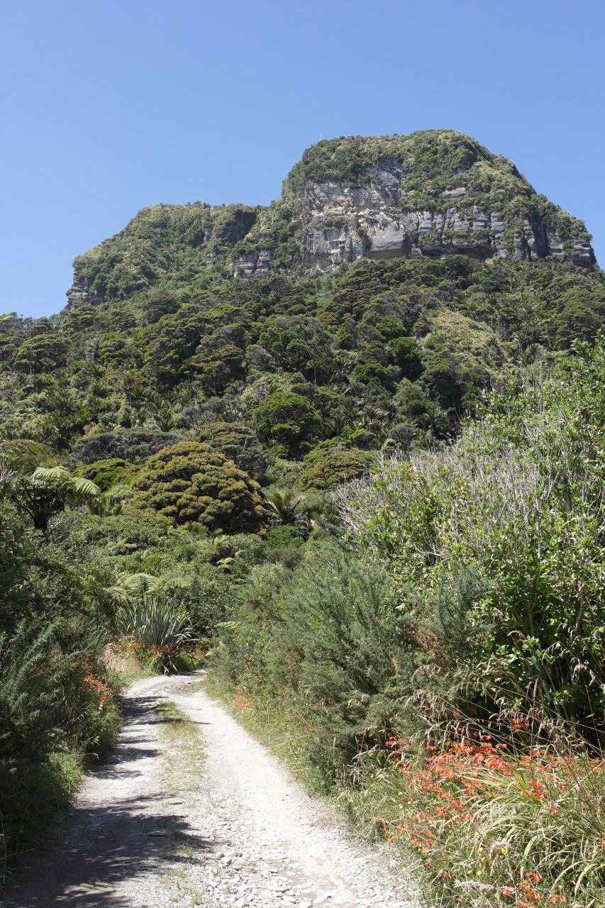 019 Punakaiki Paparoa Walk Large Rock