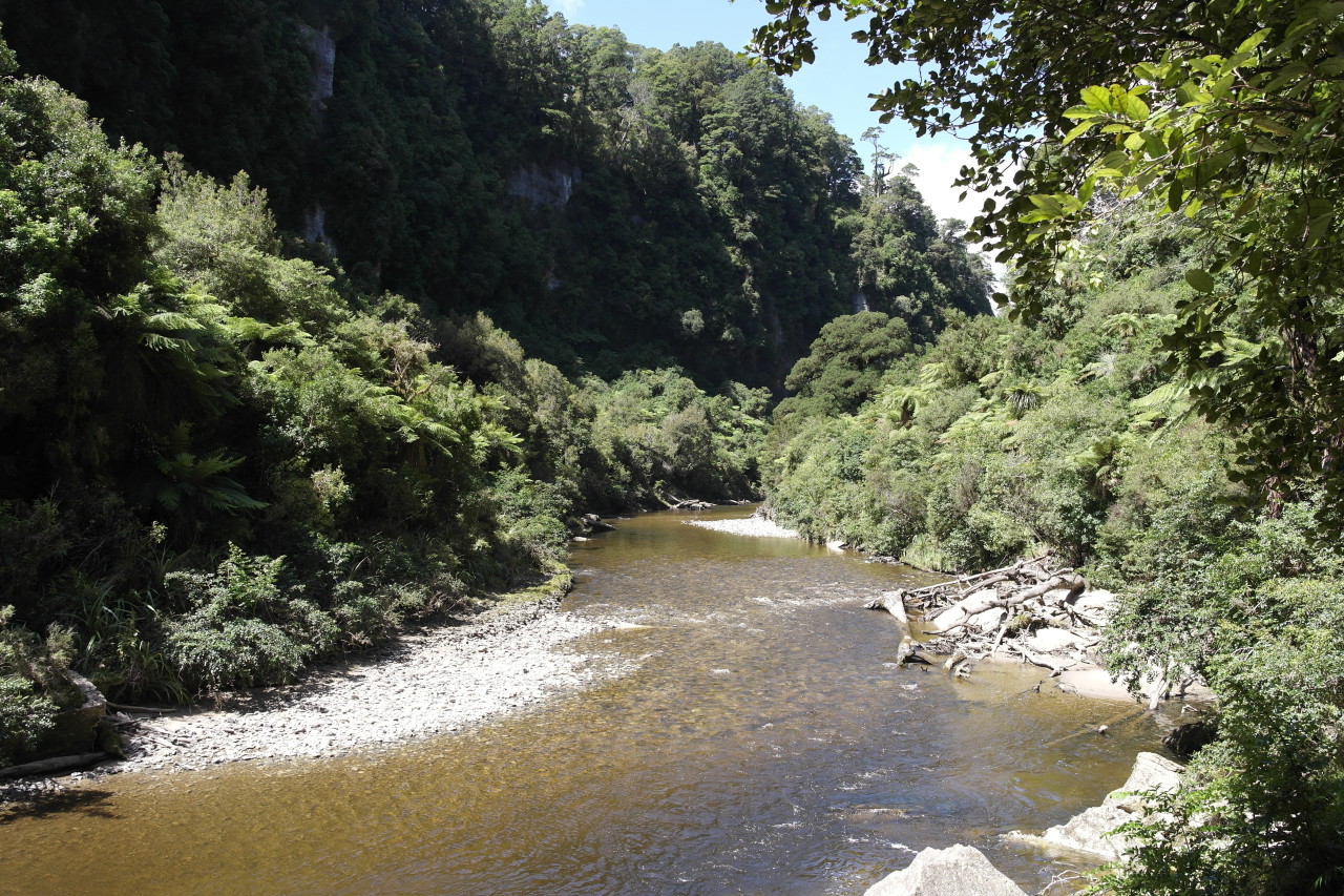 019 Punakaiki Paparoa Walk River