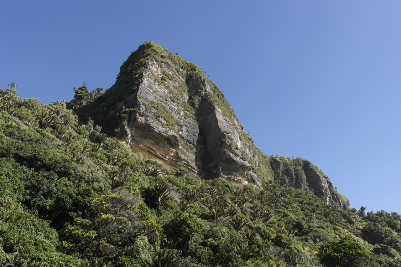 019 Punakaiki Paparoa Walk High Rock