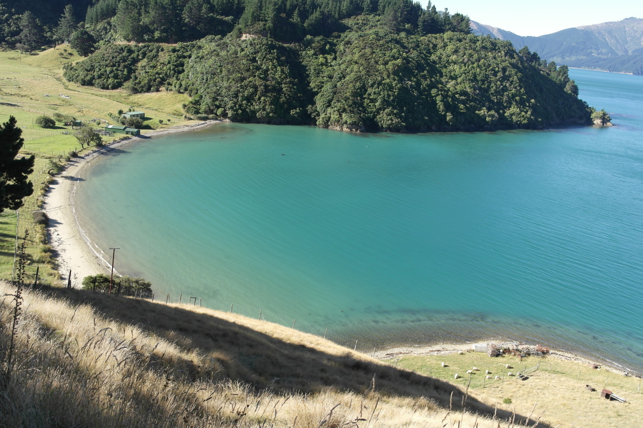 Kakapo Bay. Die Bounty (ja, die mit der Meuterei) soll einige dieser Buchten angelaufen sein, und einige Besatzungsmitglieder sollen sich in diesen Buchten ein neues Leben aufgebaut haben. Die Nachkommen bezeichnen sich heute noch als Nachfahren der Besatzung.