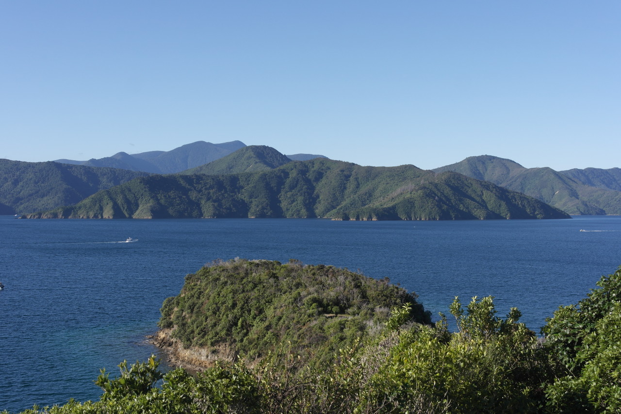 021 Marlborough Sounds Queen Charlotte Sound