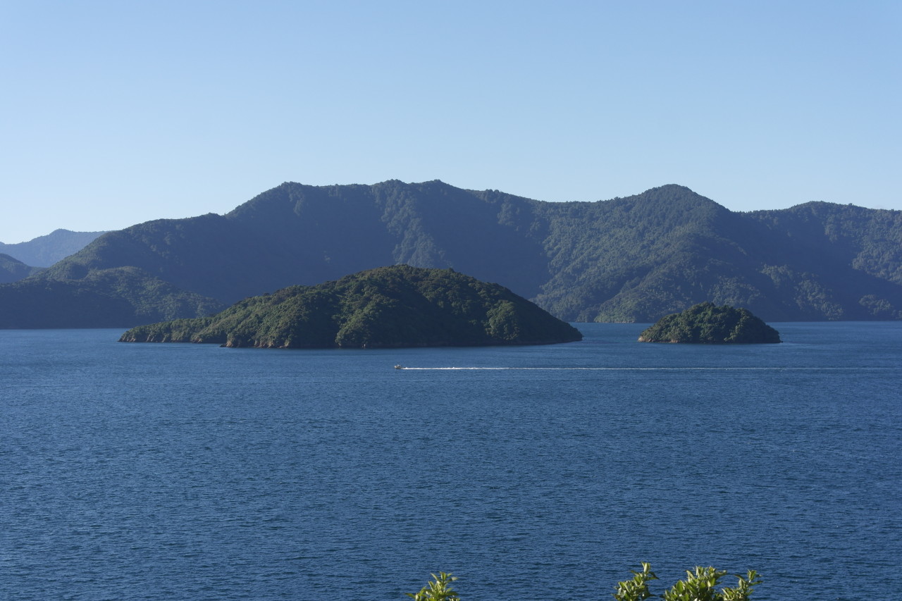 021 Marlborough Sounds Queen Charlotte Sound Islands Close