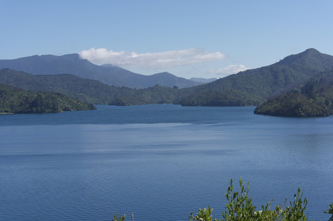 Der Grove Arm des Queen Charlotte Sounds.