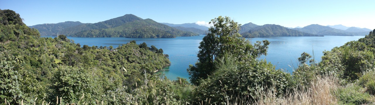 021 Marlborough Sounds Grove Arm Pano