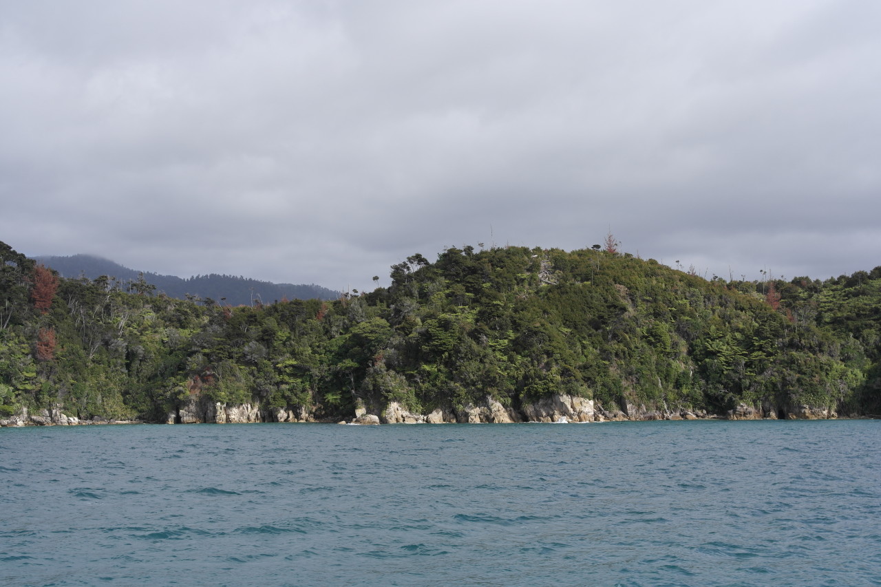 022 Abel Tasman Water Taxi Gentle Cliffs