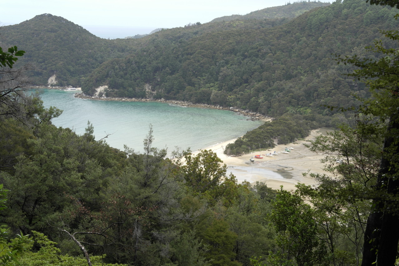 Bark Bay. Rechts ist die Lagune zu sehen, die bei Ebbe trockenfällt. Dann kann man einfach 100m über die Lagune laufen. Ich muss aber außen rum, was ungefähr eine Stunde dauert!