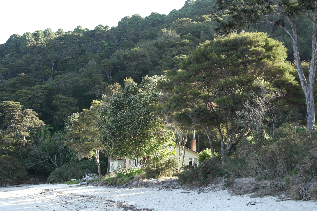 022 Abel Tasman Bark Bay House Trees