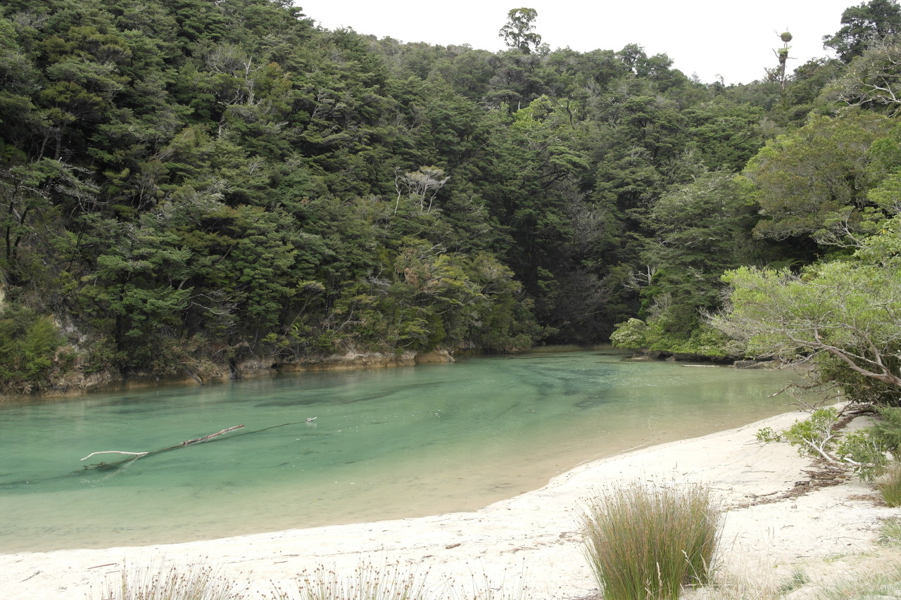 022 Abel Tasman Medlands Beach