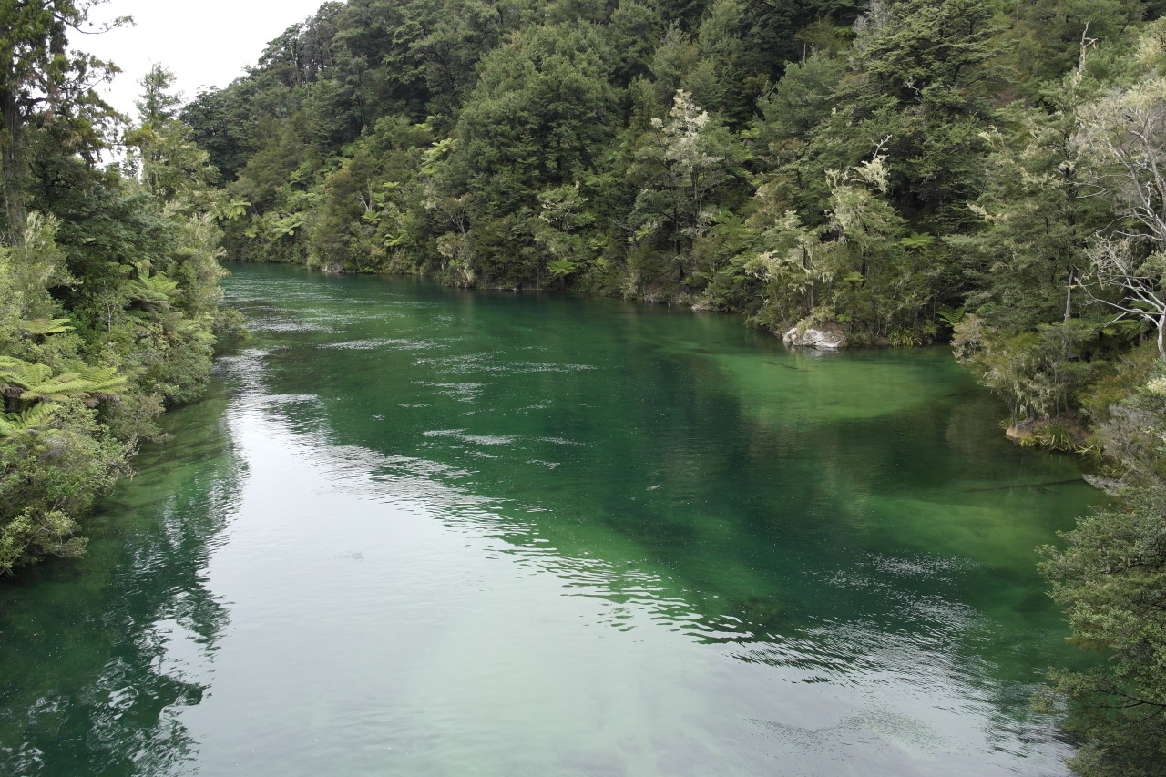 Der Fluss, der in die Sandfly Bay fließt. Ich mag das sandige Flussbett.