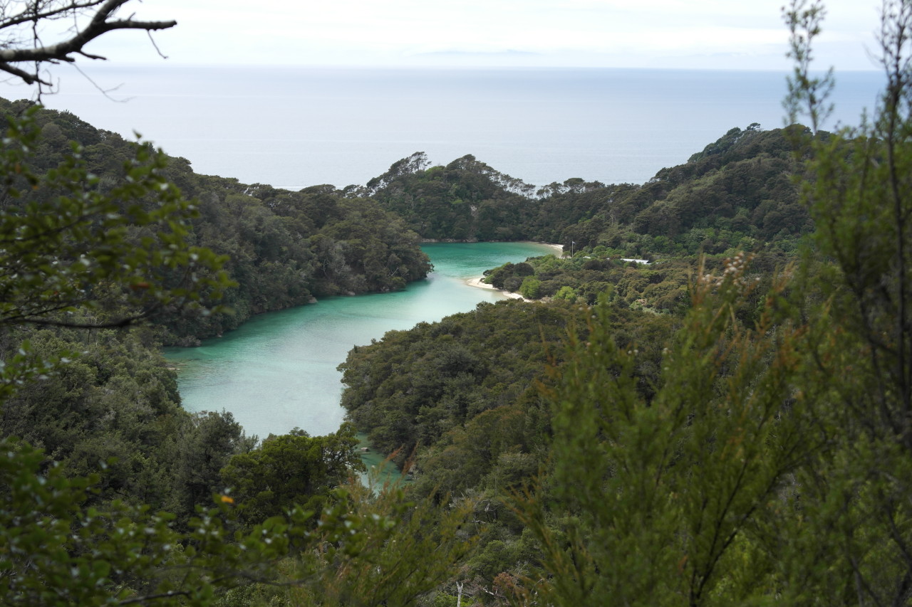 Frenchman Bay. Mit diesem einzelnen Häuschen ist das echt verführerisch!